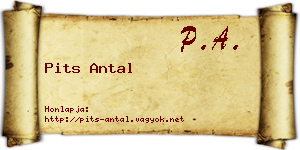 Pits Antal névjegykártya